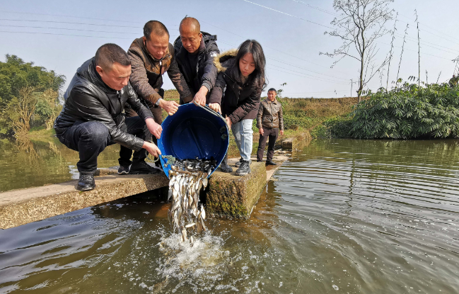 工作人员在增殖放流活动中投放鱼苗.