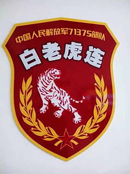 罗援将军死打硬拼的白老虎