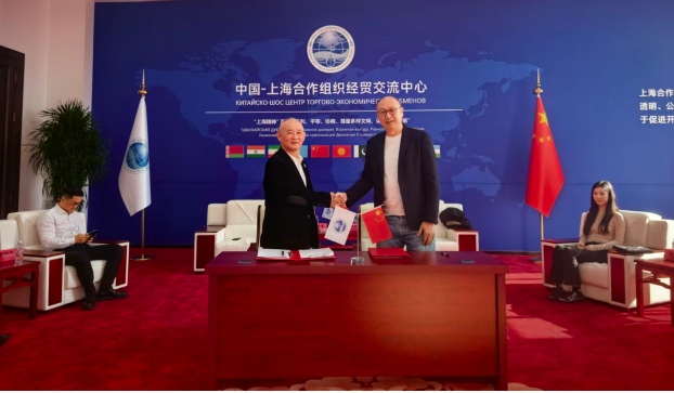 共促数据跨境合作 助力中企扬帆出海