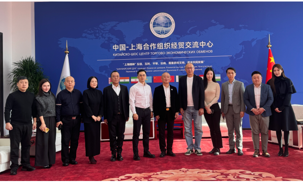 共促数据跨境合作 助力中企扬帆出海