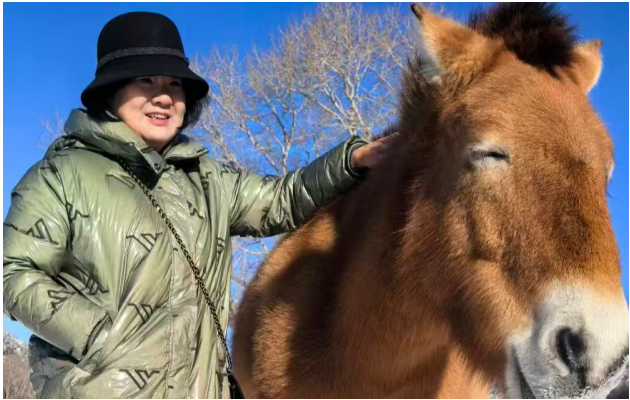 赵小玲：以梦为马，不负此生