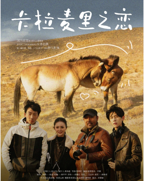 赵小玲：以梦为马，不负此生