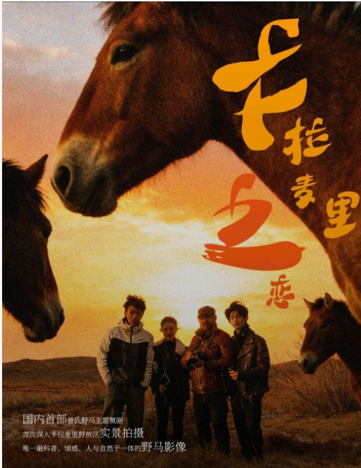 赵小玲：以梦为马，不负此生