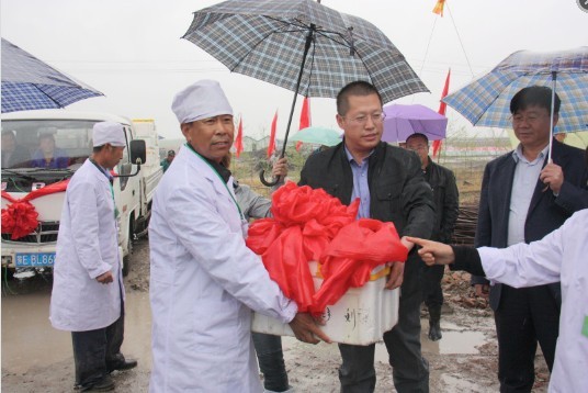 二万对林蛙种苗落户大庆市林甸"花园林蛙基地"